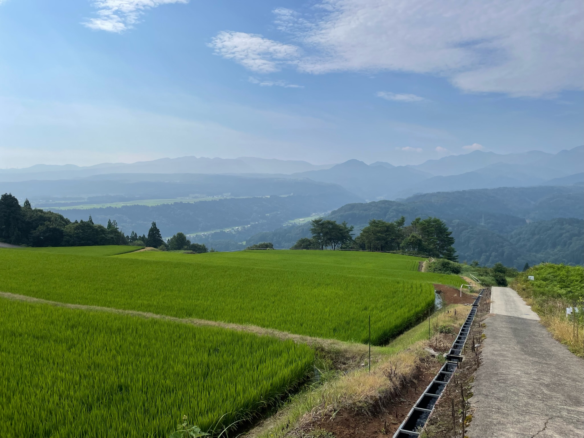 信越トレイル_田園風景