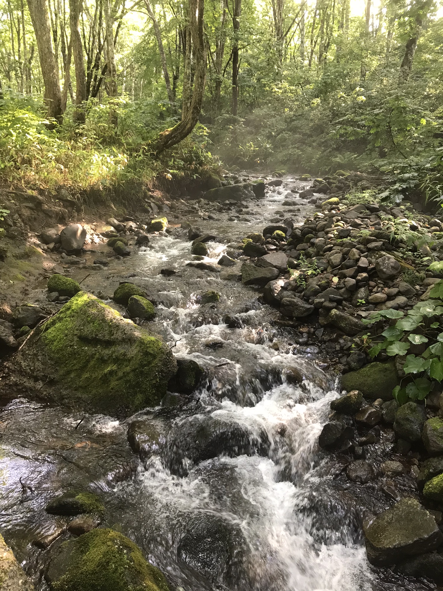 笹ヶ峰_湧水付近