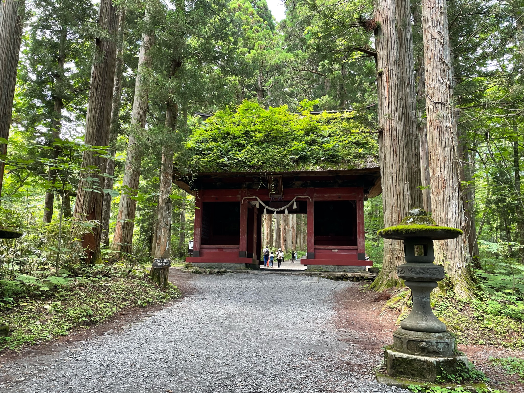 あまとみトレイル_戸隠神社もじゃ門